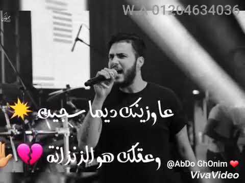 كايروكي زيهم زي الدبانه شغلين زن زن