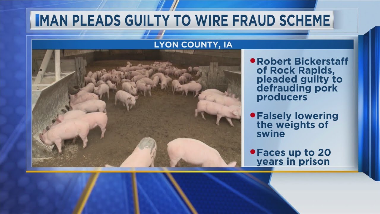 Man Pleads Guilty to Wire Fraud Scheme - YouTube