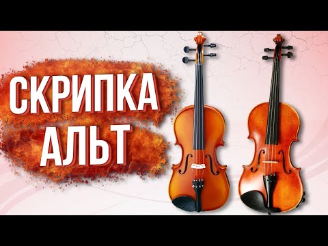 Видео: Играть на виолончели или альте?