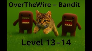 OverTheWire Bandit Level 13→ Level 14- Complete Walkthrough