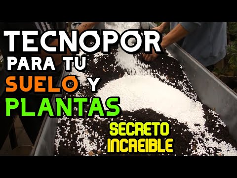 Video: Agregar espuma de poliestireno para el drenaje: ¿Debería cubrir las plantas en macetas con espuma de poliestireno?