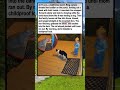 Ring cam caught a toddler feeding a wild mountain lion. The family cat ran in and saved the night.