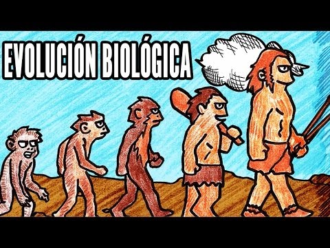 Video: ¿Cómo es la evolución la teoría unificadora de la biología?