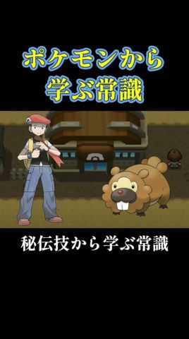 あ、ビッパが覚えるやん