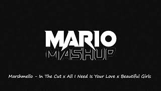 Marshmello  In The Cut X All I Need Is Your Love X Beautiful Girls mario Mashup free Dl