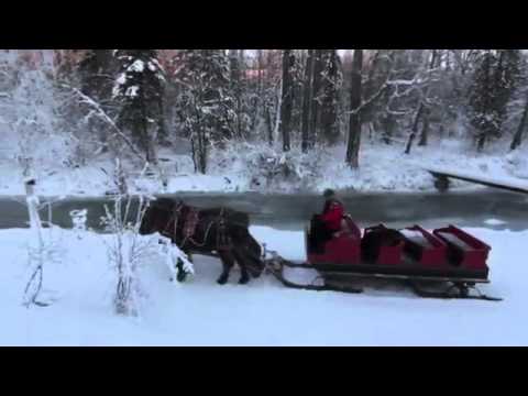 Horse Drawn Carriage - Cinderella Wedding Carriage Anchorage