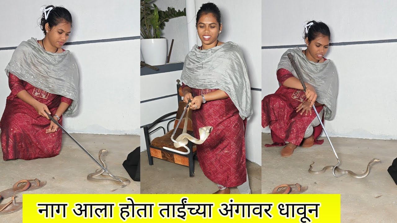 नाग आला ताईंच्या अंगावर धावून पहा