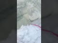 eating soft frost #asmrsound #satisfying #frezzerfrost #eatingsounds #frostbites #asmreating