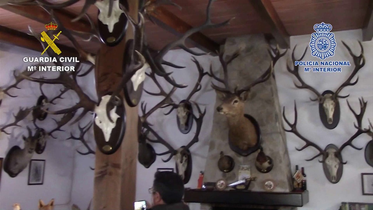 Operación Kimbala. Operacione de la Guardia Civil. Cádiz