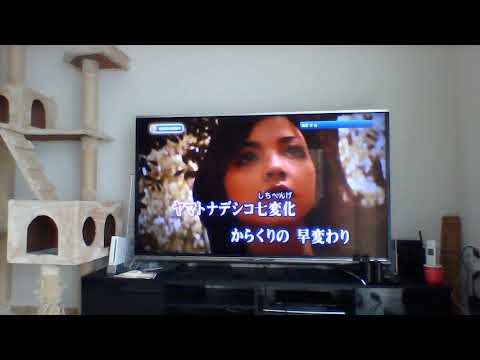 かおるんのうた♪ヤマトナデシコ七変化（小泉今日子）