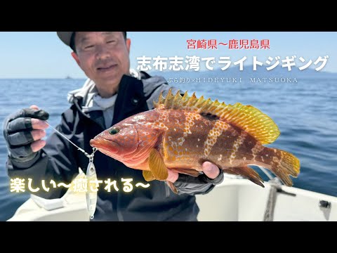Light jigging in Shibushi Bay, Miyazaki Prefecture to Kagoshima