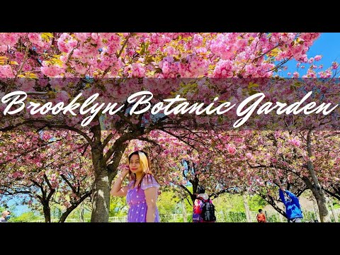 Video: Brooklyn Botanic Garden Visitors Guide