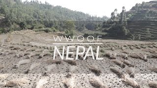 WWOOF Nepal