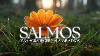 SALMOS CANTADOS para agradecer y alabar a Dios 🤍| Soft Worship Sung Psalms 🙏 screenshot 5