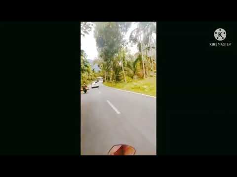 pandang partamo \