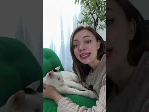 Корейские слова, которых не хватает в русском языке #жизньвкорее #переездвкорею #корейскийязык