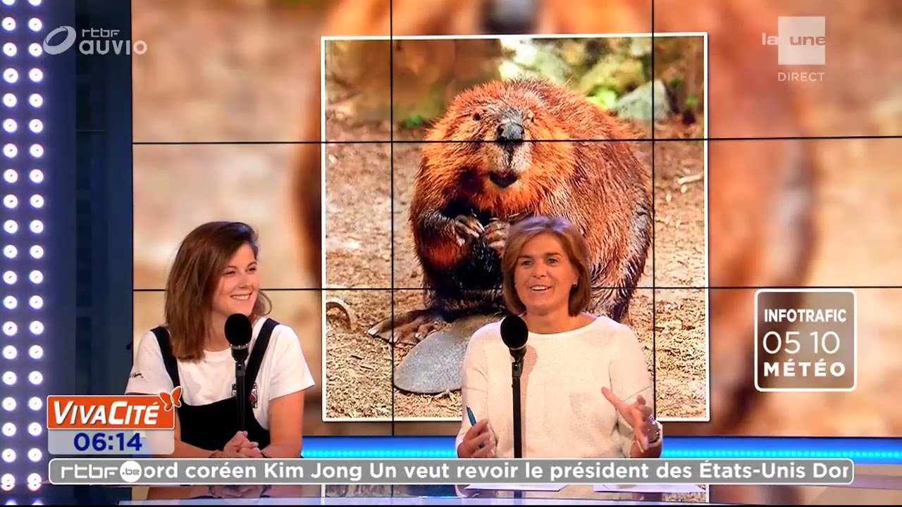 L'utilisation de la génétique pour la conservation de la nature.