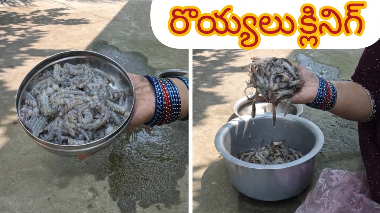  రొయ్యలు  క్లీనింగ్ సెకరొయ్యలు ఫ్రాన్స్ క్లీనింగ్ విలేజ్ స్టైల్ 