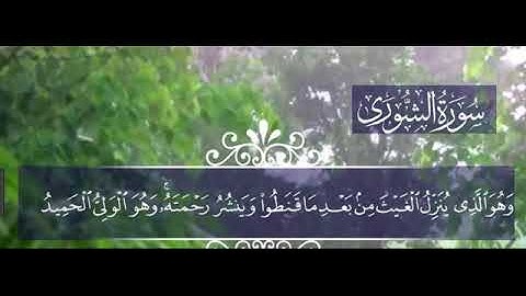 روائع التلاوات |  وهو الذي ينزل الغيث من بعد ما قنطوا وينشر رحمته وهو الولي الحميد)