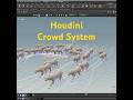 Houdini Crowd System
