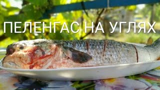 ПЕЛЕНГАС на УГЛЯХ ПЕЛЕНГАС на УГЛЯХ