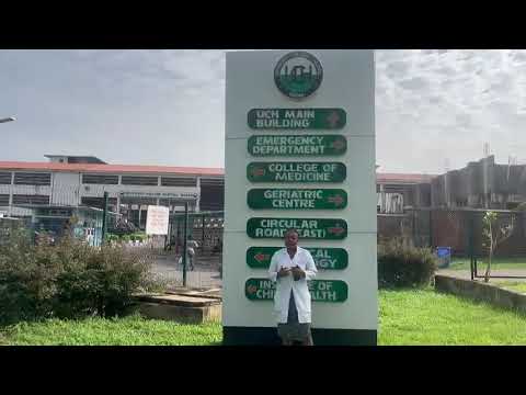 Daluchukwu Obi testimonial