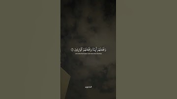 سورة القصص #قرآن #اكسبلور #المصحف