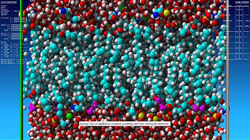 Snifferomyces: The Niacin Receptor and ligand Niacin Part I