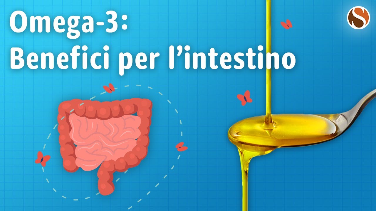 Omega 3 Benefici per l'intestino - YouTube
