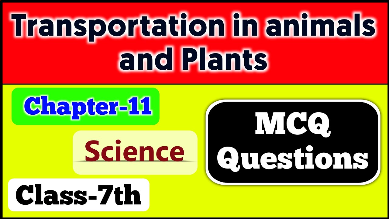 Class 7 Science Chapter 11 MCQ Question Answer | Chapter 11 Transportation  in Animals and Plants - YouTube