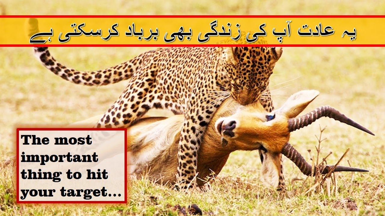 Get rid of past | Life Lesson | Dr. Arshad Roohvi