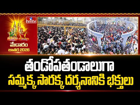 తండోపతండాలుగా సమ్మక్క సారక్క దర్శనానికి భక్తులు | Medaram Maha Jathara 2026 | hmtv
