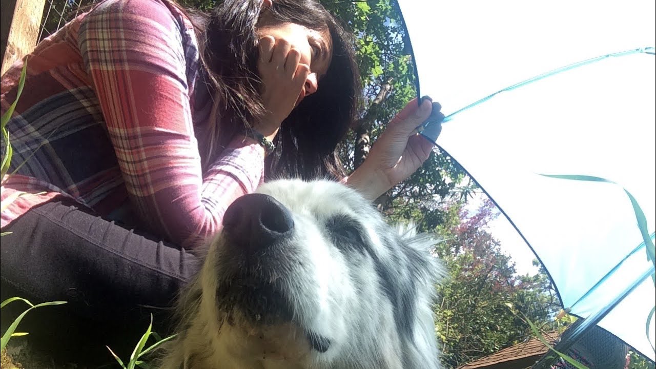 half right / heatmiser (cover) YouTube