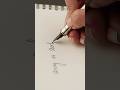Kanwrite Steelex | Fountain Pen + Roller Pen #madeofsteel #kanwrite #calligraphy