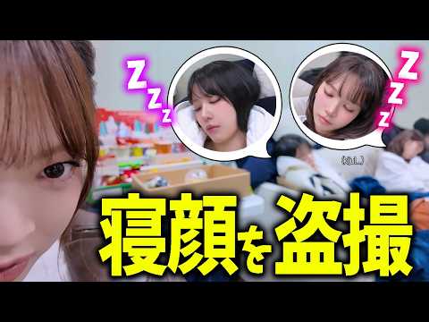 【LE SSERAFIM】サクラとチェウォンの寝顔を撮影する優秀すぎるカメラマン（ウンチェ）【日本語字幕】