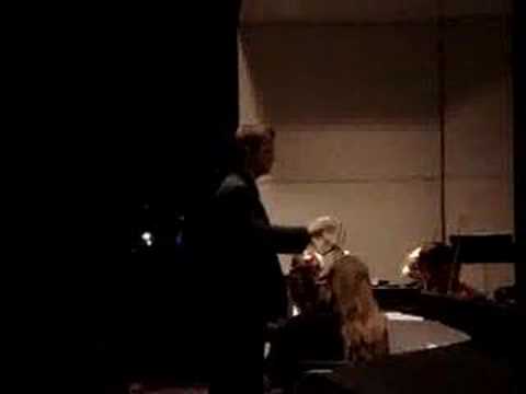 Johann Strauss II - Unter Donner und Blitz