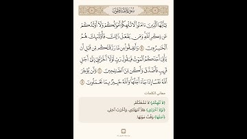 السراج في بيان غريب القران سورة المنافقون 4 مع تلاوة الشيخ سعد الغامدي