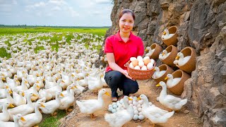 Harvesting Thousands Giant Egg & Goes to Market Sell, Giant python hiding in abandoned house Profile