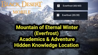 Everfrost 🏔️ | Academics & Adventure Hidden Knowledge Location | Black Desert Mobile