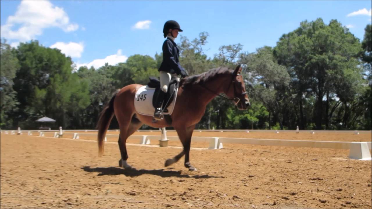 Horse Show!! + Getting Disqualified YouTube