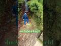 baort solo trip dec 2025 #barotvalley #himachal #panjab #india #treveling #yt #trending #solo #viral