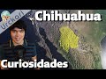 Video de Chihuahua