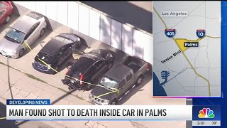 Man found shot to death inside a car in Palms neighborhood of LA