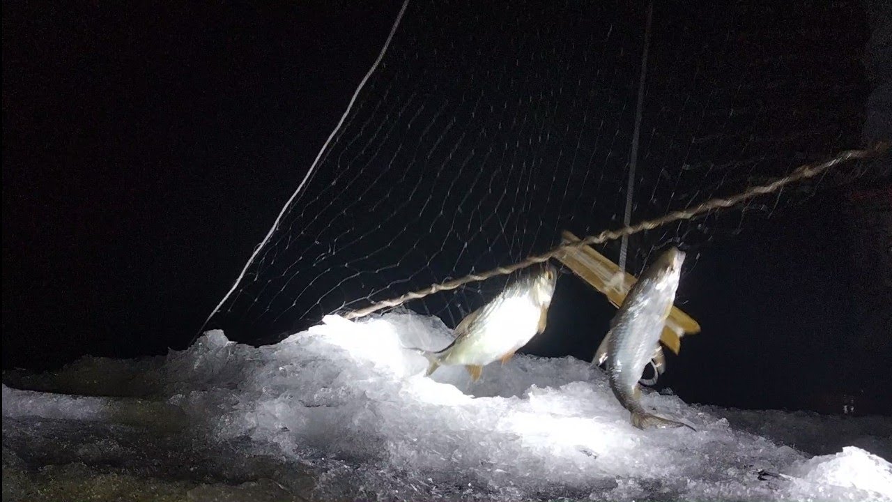 🔴Рыбалка🐠! Пробуем ставить косынки( трёх угольник ) работает ли ловушка!? Весенний лёд☃️🔴