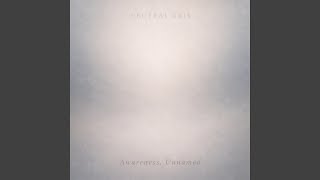 Soft Neutral Field