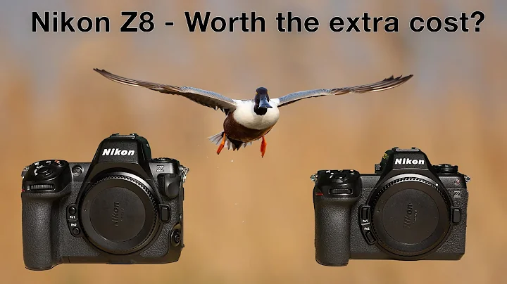 Nikon Z6 III vs Nikon Z8 - Which is the BEST option for Wildlife Photography?