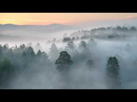 SHAKUHACHI  FLUTE / Koku Nishimura Sensei / AJIKAN / Флейта Сякухати / Медитация