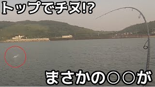 トップチニングに行ったらまさかの○○がトップで出た！！