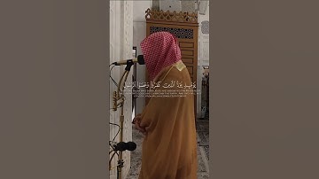 إن الله لا يظلم مثقال ذرة وإن تك حسنة يضاعفها ويؤت من لدنه أجرا عظيما #تلاوة #أحمد_صابر_الغامدي