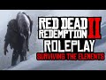 SURVIVAL in Red Dead Redemption 2 Roleplay